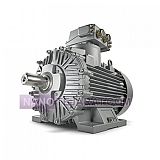 الکتروموتور دریایی زیمنس Siemens آلمان الکتروموتور دریایی زیمنس Siemens آلمان